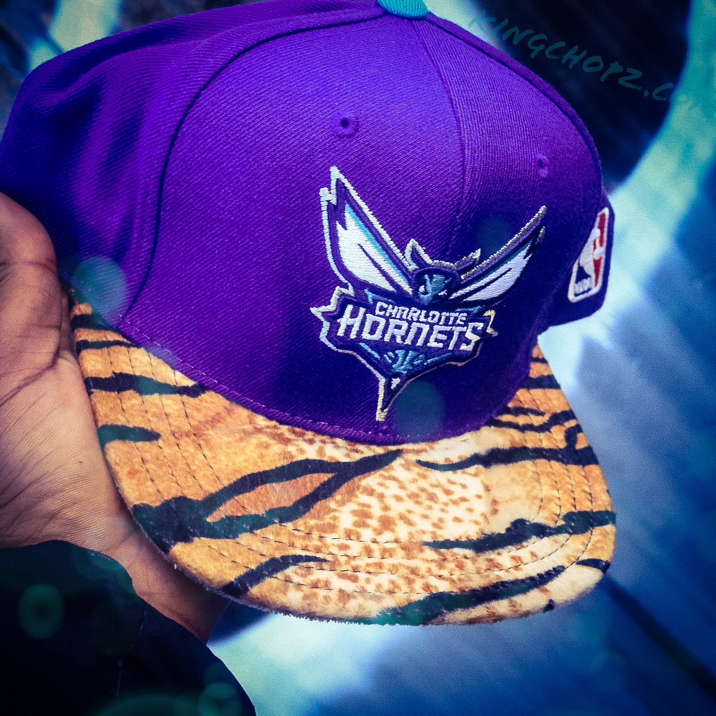 Tiger Charlotte Hornets